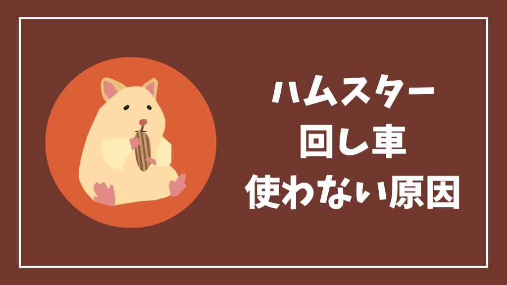 ハムスターが回し車を使わない原因
