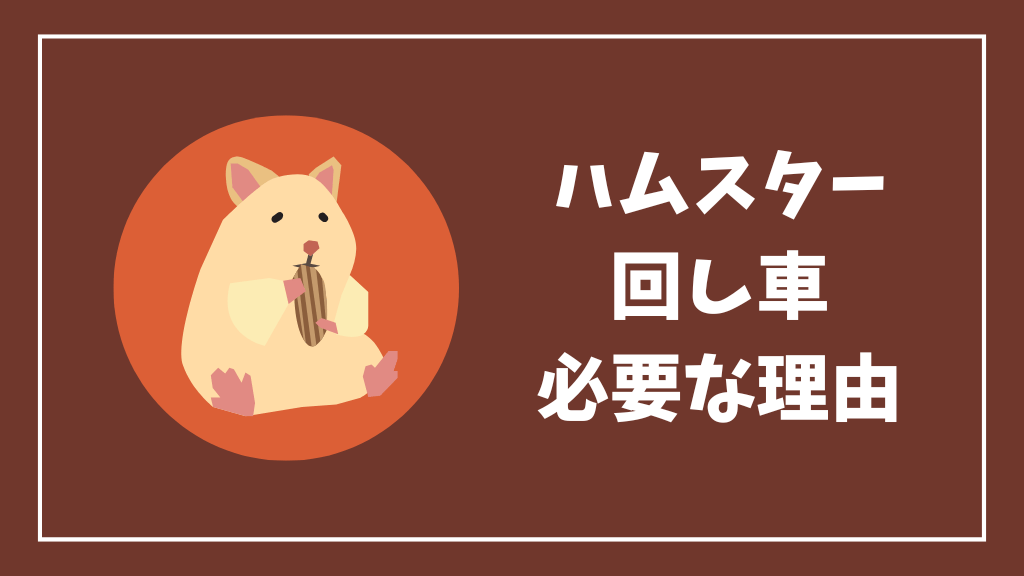 ハムスターに回し車が必要な理由